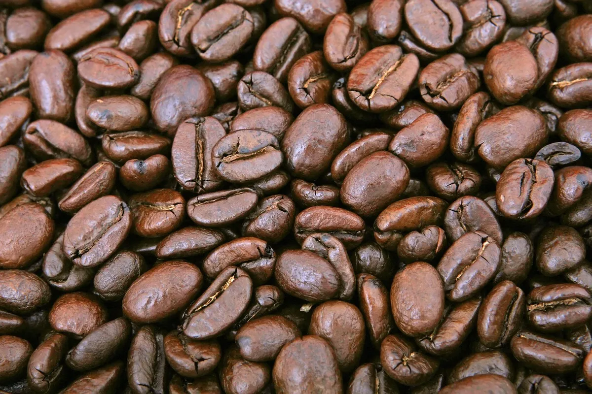 家電カテゴリの記事「全自動ミル付きコーヒーメーカーおすすめ5選｜豆から挽きたてを毎朝楽しむ」のイメージ画像