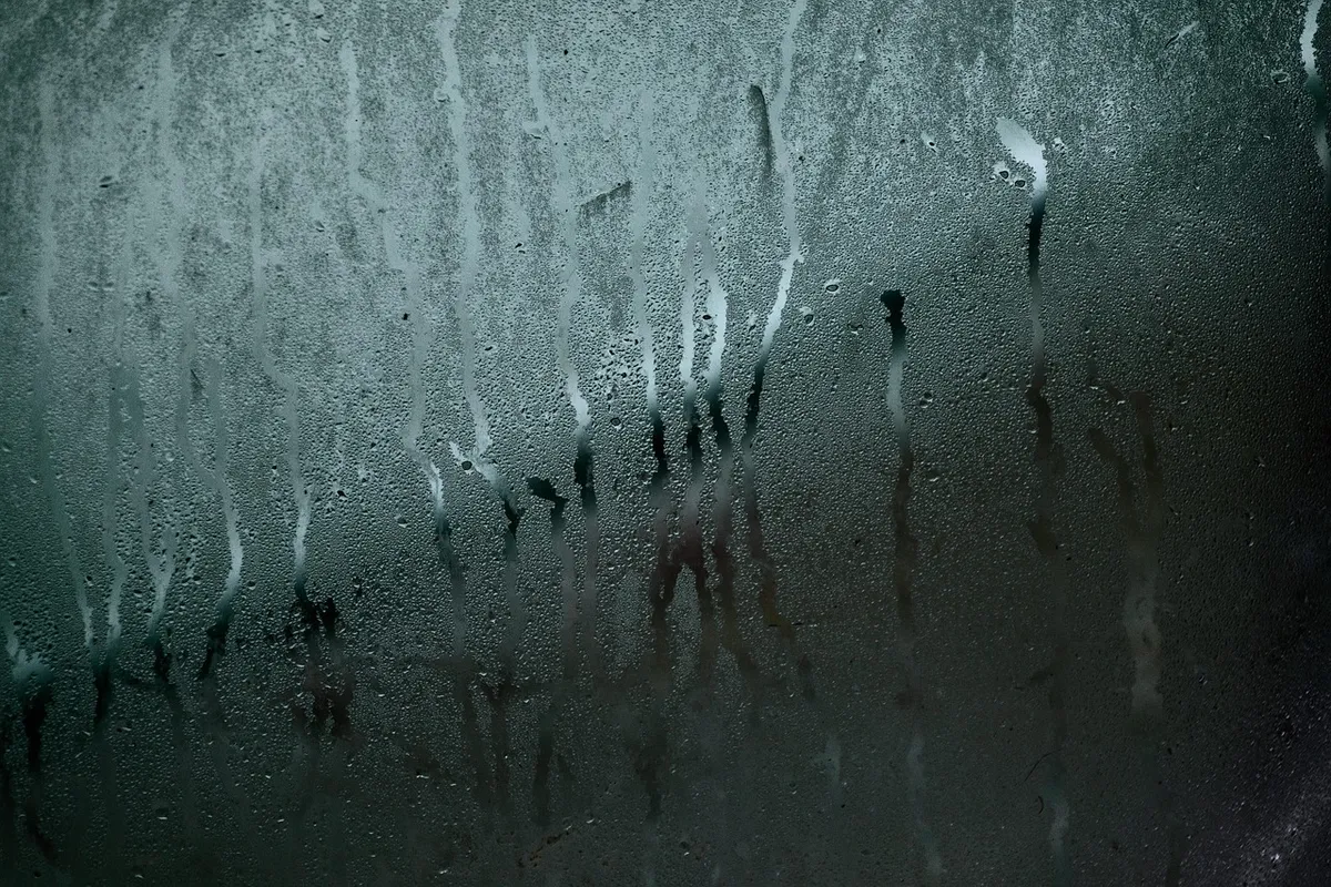 【2026年最新】除湿機おすすめ7選｜コンプレッサー・デシカント・ハイブリッドを方式別に比較